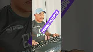 Forrozinho remix no teclado shorts piseiro [upl. by Nysila787]