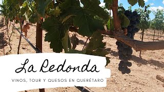 La Redonda Querétaro Precios paseo por los viñedos degustación de vinos tour vendimia y más [upl. by Kcirrem]