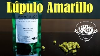 Lúpulo Amarillo — Frutado e cítrico [upl. by Radack]