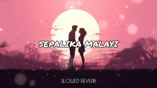 Sepalika Malayi  සේපාලිකා මලයි  Slowed and Reverb   මන්දාරමෙන් එහා  MindLk Slowed [upl. by Kirbie496]