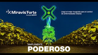 Miravis Forte  Fungicida Syngenta con amplio espectro de control [upl. by Felten]