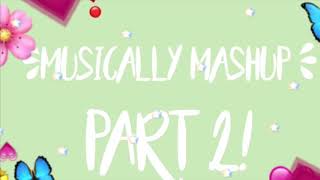 musically mashup  2 💗 [upl. by Kery]