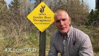 When to Have Your Deer Tested for CWD [upl. by Bartolemo]