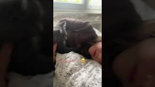 Sleepingtimecat cute catlover animals kitten music chat bestdancerintheworld babycoversong [upl. by Aneris]