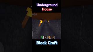 Block craft 3D game Secret Underground House 🏠 shorts video subscribe [upl. by Aleusnoc]