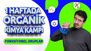 1 HAFTADA ORGANÄ°K KÄ°MYA KAMPI 4GÃœN FONKSÄ°YONEL GRUPLAR  ğŸ—“ï¸PDF [upl. by Hernardo632]