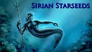 A Message To Sirian Starseeds From Safon [upl. by Altman409]