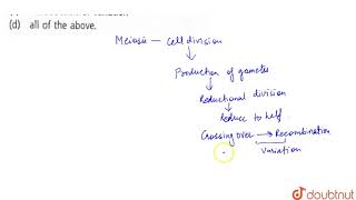 Meiosis in diploid organisms results in  11  CELL CYCLE AND CELL DIVISION  BIOLOGY  NCERT F [upl. by Anilat665]