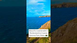 Beautiful coastal walk in pembrokeshire nationalpark wales [upl. by Eissel]