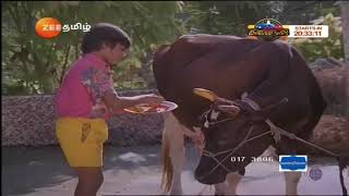 Naan Petradutha Pillai Simbu Gomatha songs TR hits [upl. by Bevan]