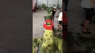 agriculture fodder cutter  youtube  smart work [upl. by Bunde706]