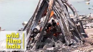 Burning dead body in Hindu cremation [upl. by Odnala]