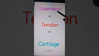 Difference between ligaments tendon and cartilage in bones [upl. by Atsok36]