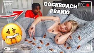 COCKROACH PRANK ON GIRLFRIEND HILARIOUS  VLOGMAS DAY 4 [upl. by Johnstone]