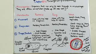 Chapter14 quot Microorganisms amp Biotechnologyquot biology olevel igcse [upl. by Dani100]