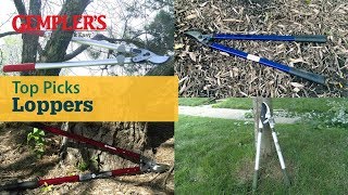 Loppers Top Picks to Help Make Pruning Easy [upl. by Nayhr46]