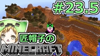 【マイクラ整地】匠帽子のマインクラフト！ 235【show】 [upl. by Dorcus]