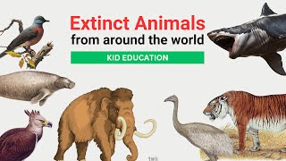 Lost Notable Extinct Animals from Around the World  Kid education video [upl. by Kamin]