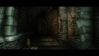 Oblivion Ambiance  Imperial Prison Cell Intro  ASMR amp Noise For Sleep [upl. by Hunsinger]