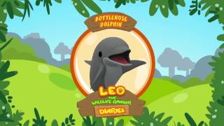 Bottlenose Dolphin  Leo The Wildlife Ranger Animal Diaries  Animal Facts for Kids [upl. by Baumann500]