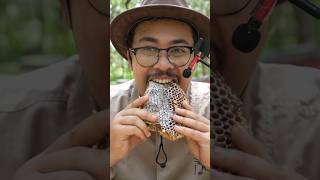 ASMR Eating Honeycomb 🐝 shorts [upl. by Dorita]