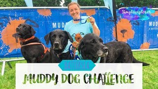 RUNNING  BATTERSEA MUDDY DOG CHALLENGE  NOTTINGHAM 2018 [upl. by Harutek659]