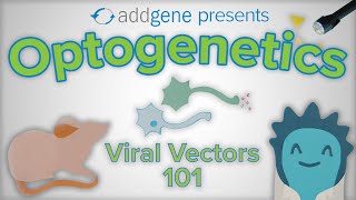 Optogenetics  Viral Vectors 101 [upl. by Aikkan]