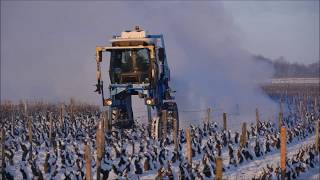 Vigne lutte antigel  un générateur de brouillard testé à Vouvray [upl. by Martinsen]