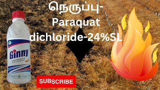 Paraquat Dichloride24SL அனைத்து களைகளின் எதிரி [upl. by Berthe]