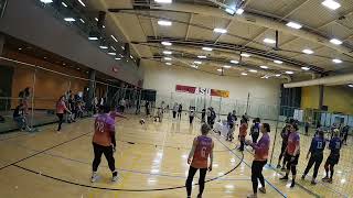 USA Dodgeball 2024 Phoenix Flex vs West Ghost [upl. by Akcinahs436]