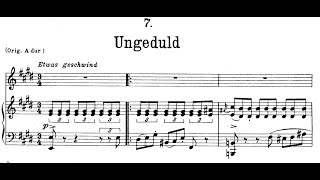 Ungeduld E Major Franz Schubert Piano Accompaniment [upl. by Ellehcem]