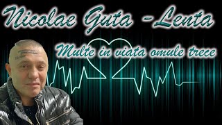 Nicolae Guta  Multe in viata omul trece Lenta Live [upl. by Enyal]