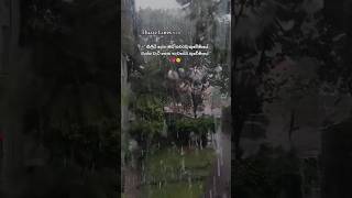 4u fypシ゚viral tiktok borella rainyday subscribe [upl. by Nilatak]