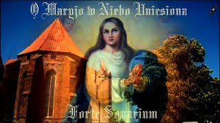 O Maryjo w Niebo Uniesiona  Forte Sonarium [upl. by Ydoc402]