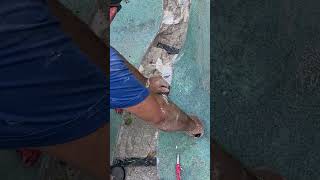 Repairing Swimming Pool Cracks With Torque Lock In South Florida swimmingpool poolrepair pools [upl. by Wake]