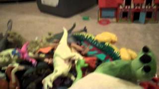 Dinosaur toy collection [upl. by Ofloda]