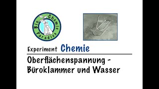 Experiment Chemie  Oberflächenspannung  Büroklammer und Wasser [upl. by Nahtannoj]