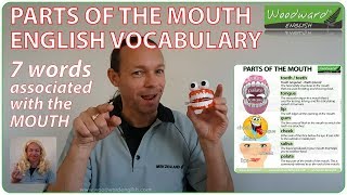 Parts of the Mouth  English Vocabulary [upl. by Aicats]