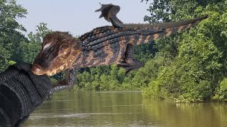 How and why I bite train my Cuviers Dwarf Caiman [upl. by Culver865]