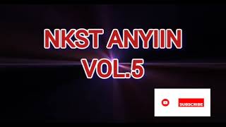 NKST ANYIIN VOL5 [upl. by Noyk255]