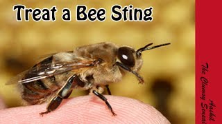 How to Treat a Bee Sting in Malayalam [upl. by Malin]