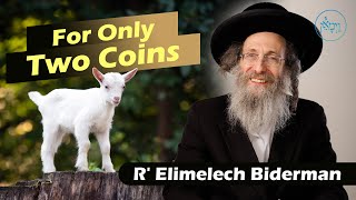 Vayimaen וימאן R Elimelech Biderman  For Only Two Coins [upl. by Hymie]