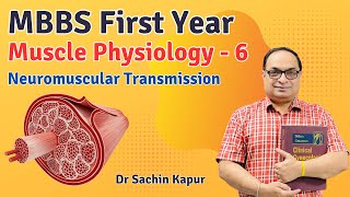 MBBS First Year  Muscle Physiology  Neuromuscular Transmission  Dr Sachin Kapur  AIIMS [upl. by Gilly]