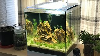 ciano nexus pure 25 aquarium 22 litre review Pump WARNING Please watch before you buy [upl. by Busiek]