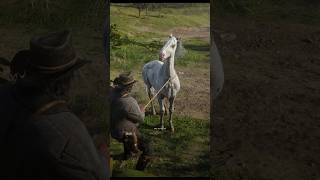 Appaloosa Few Spotted Location in rdr2 shorts rdr2 spdxstreamgaming rdr2guide [upl. by Etnoj]