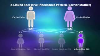 What is Xlinked Recessive Inheritance [upl. by Socin]