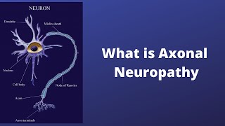 What is Axonal Neuropathy [upl. by Ameerak]