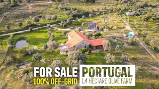 14 Hectare OFFGRID Homestead FOR SALE Aldeia do Bispo PENAMACOR Central Portugal  Real Estate [upl. by Llemej240]