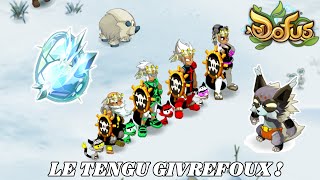 LE TENGU GIVREFOUX 🐾  DOFUS DES GLACES 🧊  DOFUS [upl. by Ailb]