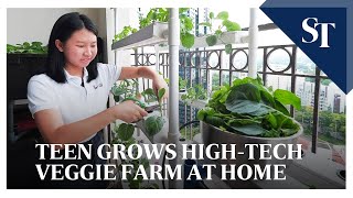 Teen grows sustainable hydroponic farm at home [upl. by Lexi]